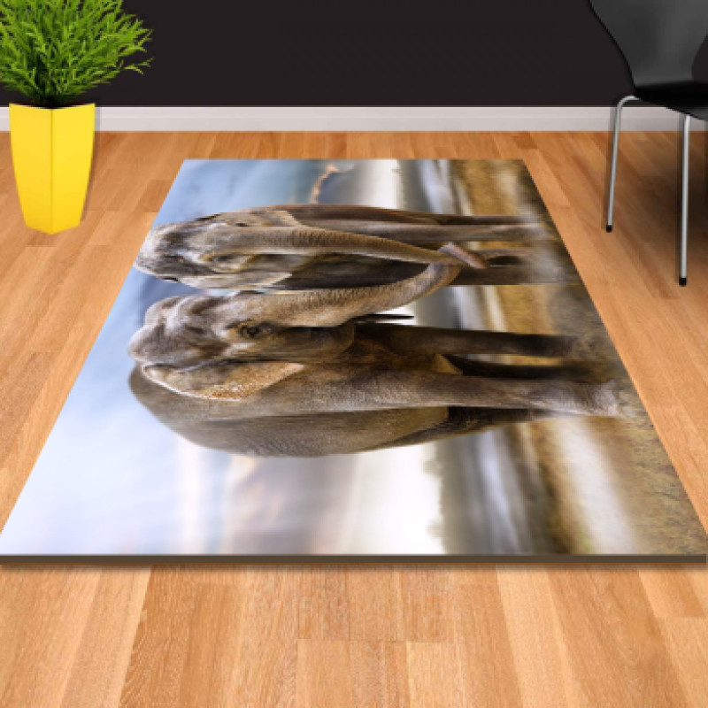 Fillerin Aşkı Dekoratif Halı