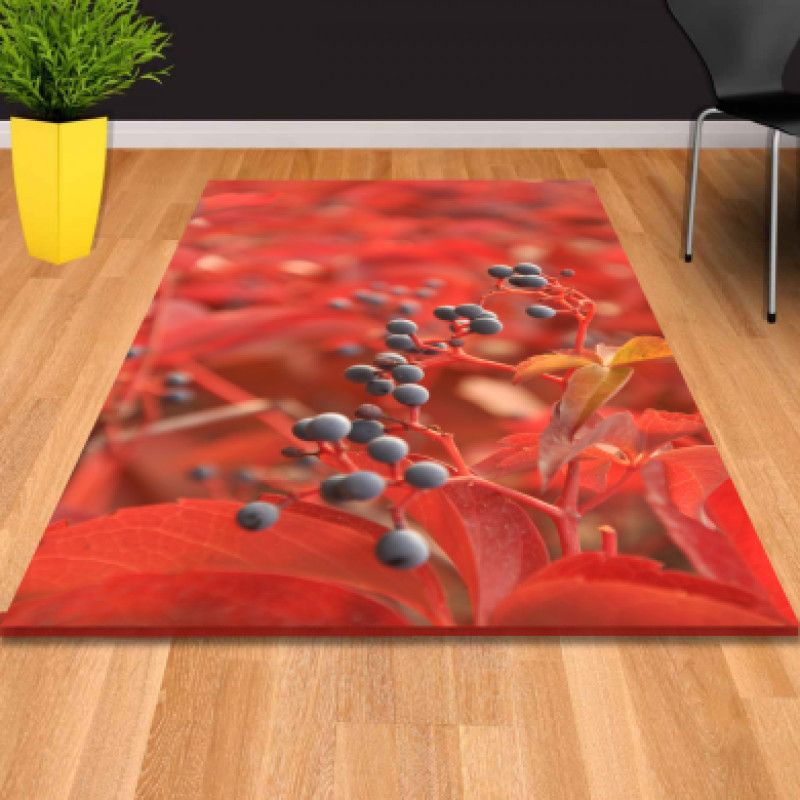 Sonbahar Meyveleri Dekoratif Halı